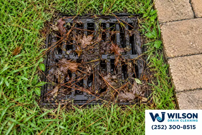 Before view: Square black yard drain grate in lawn beside tan paver path.